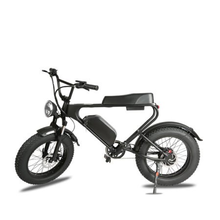 750 W Fat-Tire Urban Cruiser E-Bike | 20″ × 4.0″ Tires | 50–60 KM Range | 7-Speed